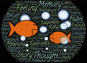 星空sports-NBA球员情绪控制能力与技术犯规关系分析，nba2k情绪属性有什么用